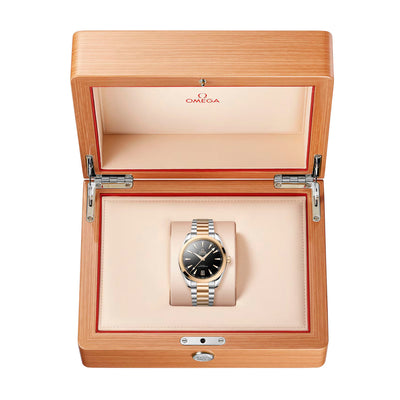 OMEGA Seamaster Aqua Terra Automatic – 220.20.41.21.01.001