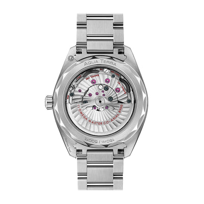 OMEGA Seamaster Aqua Terra Automatic – 220.10.41.21.10.001